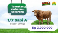 Bangkit Berkurban - 1/7 Sapi Super (Rp 3.000.000)